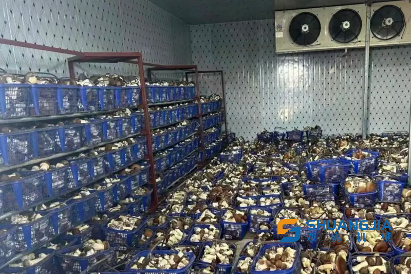 14-01-43-33-283825.png